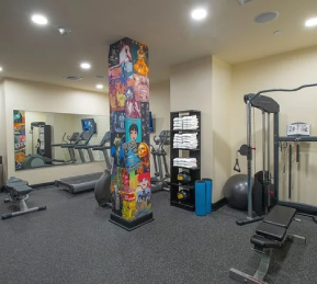 Belvedere Hotel Gym Equipment and Machines